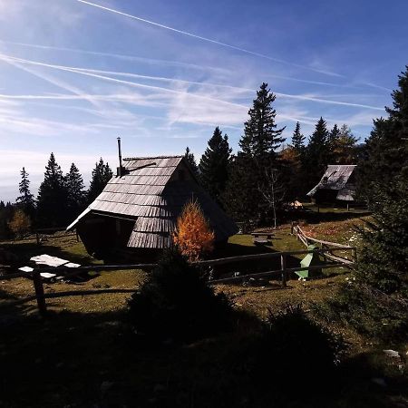 Chalet Gasparjeva Velika Planina Kamnik Exterior photo